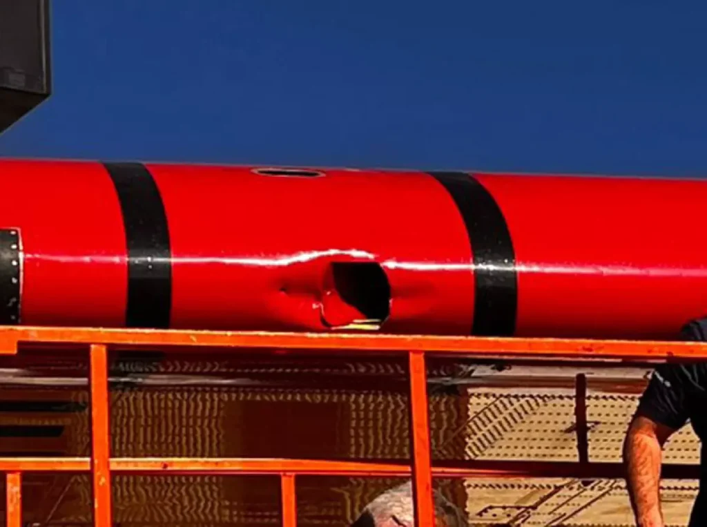 Fist Sized hole in plane